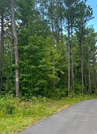 0 Deep S Rd, Senoia, GA 30276