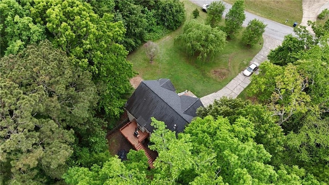 bird's eye view