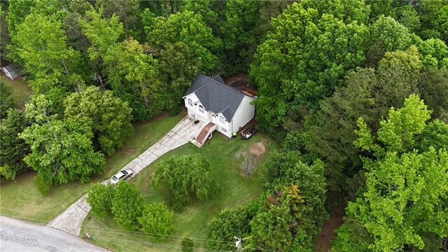 bird's eye view