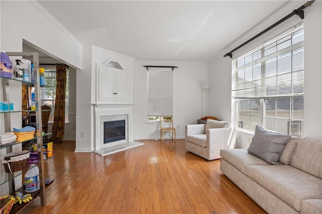 living room featuring a wealth of natural light, crown molding, and light hardwood / wood-style floors