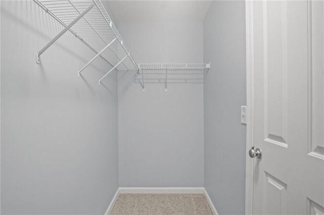 walk in closet featuring carpet flooring