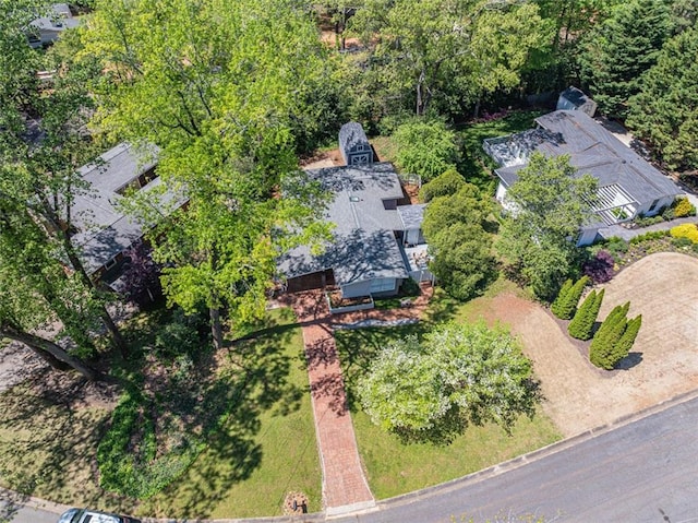 drone / aerial view