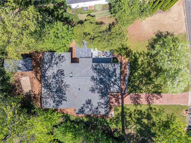 bird's eye view