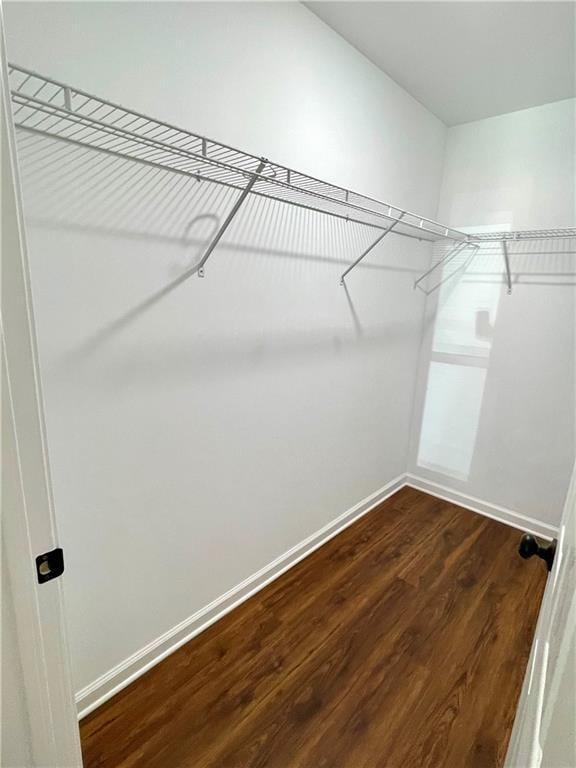 spacious closet with dark wood-style floors