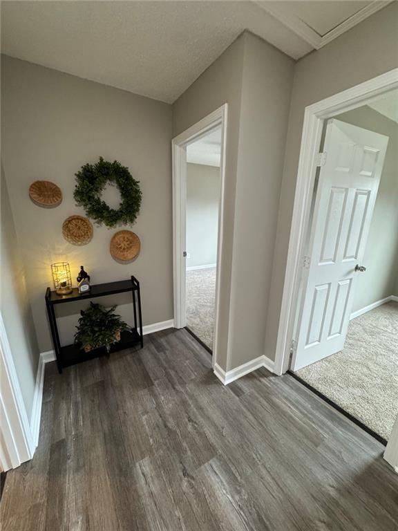 hallway featuring dark hardwood / wood-style flooring