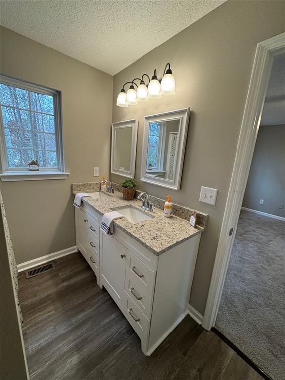 bathroom featuring vanity, a textured ceiling, and hardwood / wood-style flooring