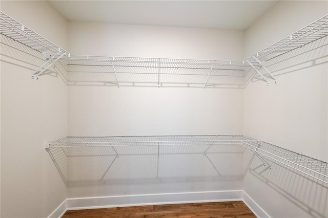 96 Lexie Ct, Rockmart, GA 30153 - spacious closet with wood finished floors