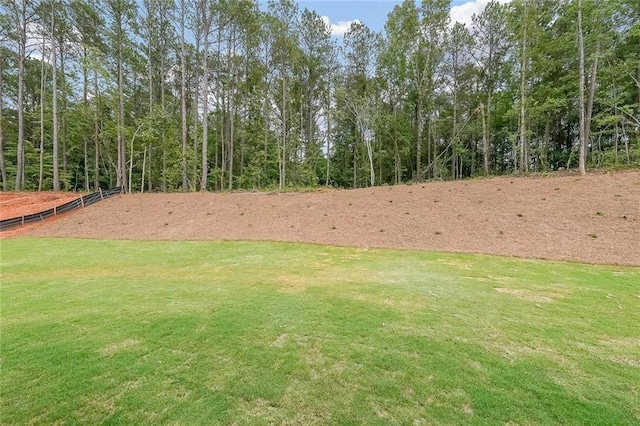96 Lexie Ct, Rockmart, GA 30153 - view of yard