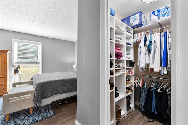 spacious closet with hardwood / wood-style flooring