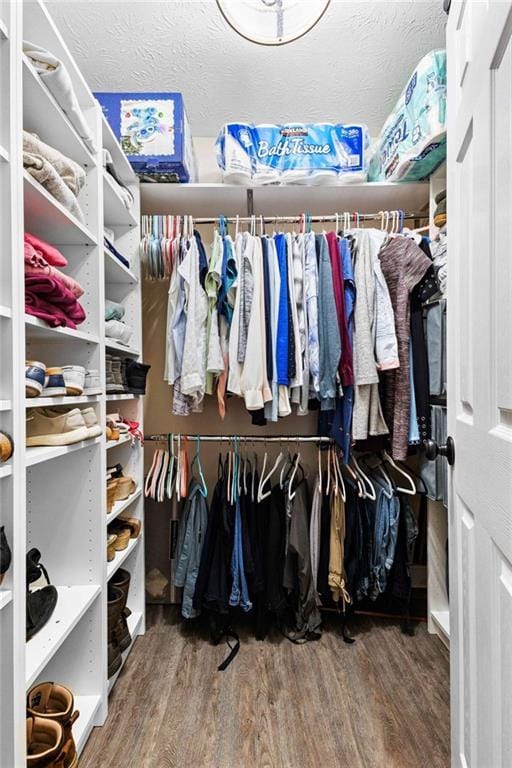 spacious closet with hardwood / wood-style flooring