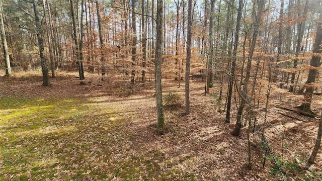 view of landscape