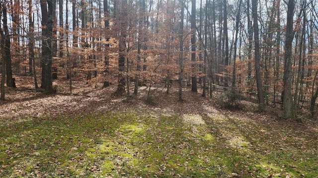 view of local wilderness