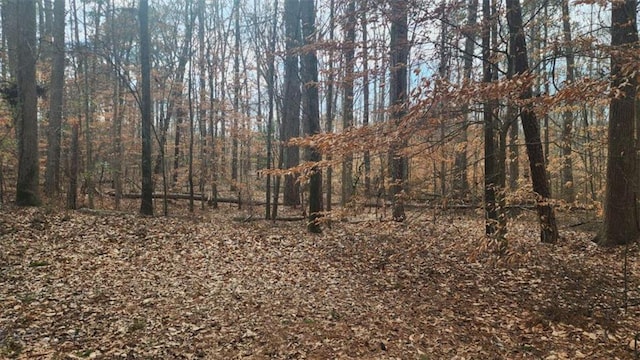 view of nature