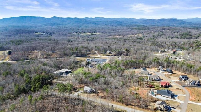 bird's eye view with a mountain view