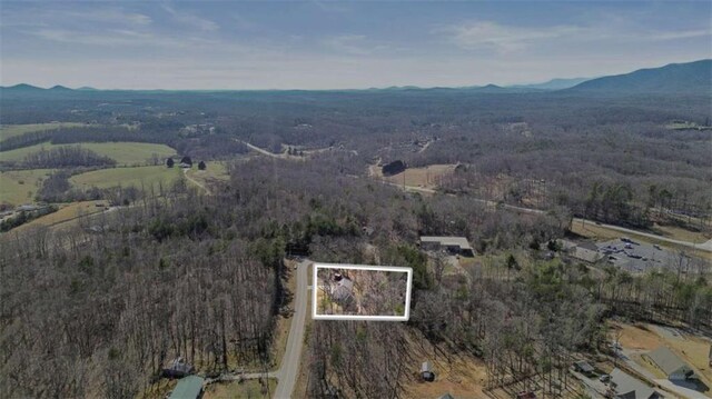 birds eye view of property featuring a mountain view