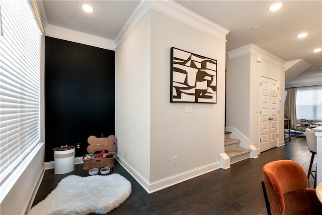 hallway with crown molding and dark hardwood / wood-style flooring