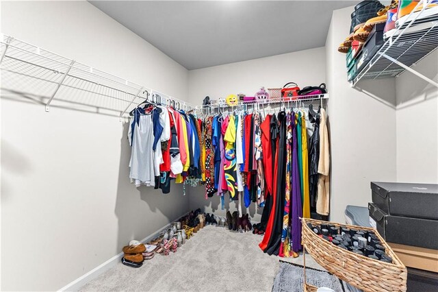 spacious closet with carpet