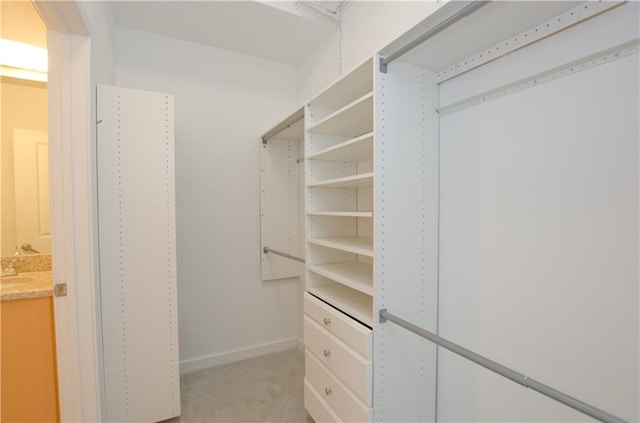 spacious closet featuring light carpet and sink