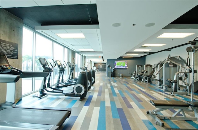 exercise room featuring healthy amount of natural light, floor to ceiling windows, and carpet