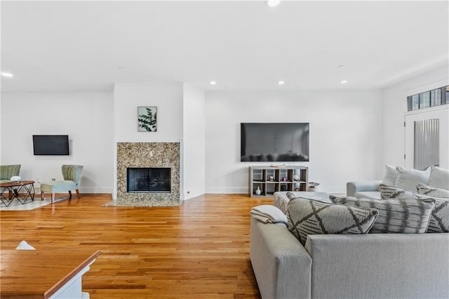 living room featuring a fireplace and light hardwood / wood-style floors