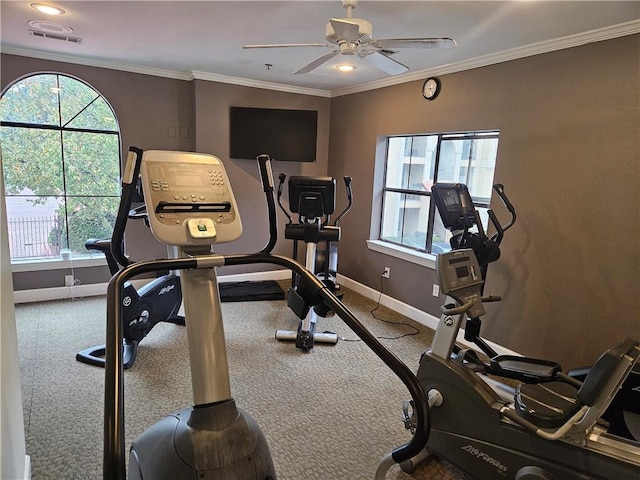 exercise room featuring carpet, ceiling fan, and crown molding