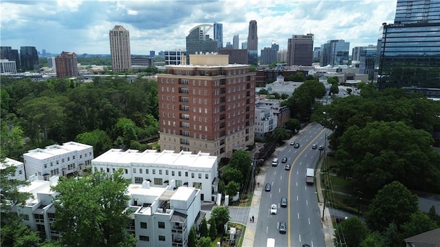 3667 Peachtree Rd NE Unit 6, Atlanta, GA 30319 - skyline view