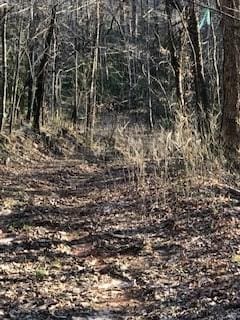 Listing photo 2 for LOT5 Still Rd, Dahlonega GA 30533