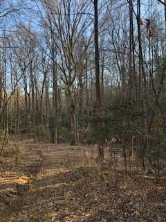 Listing photo 3 for LOT5 Still Rd, Dahlonega GA 30533