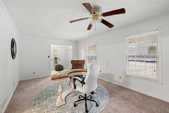 carpeted office space featuring crown molding, ceiling fan, and a textured ceiling