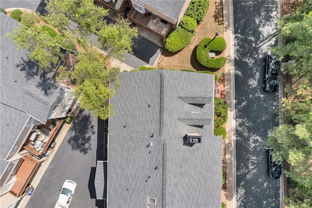bird's eye view