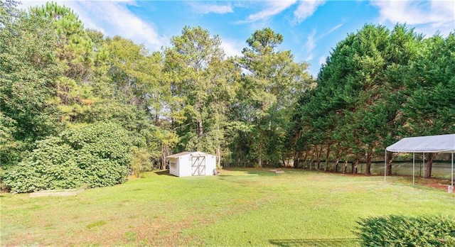 4014 Ivy Trace Ln, Ellenwood, GA 30294 - view of yard featuring an outdoor structure, a shed, and fence