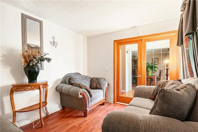 4014 Ivy Trace Ln, Ellenwood, GA 30294 - living room featuring french doors, baseboards, and light wood-style floors
