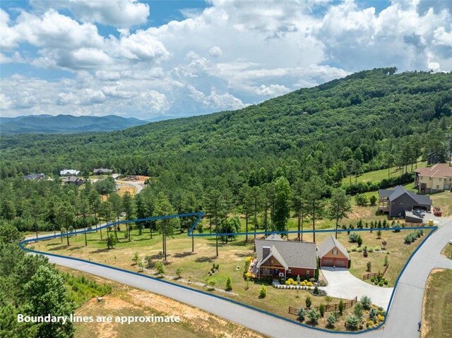 view of mountain feature with a rural view