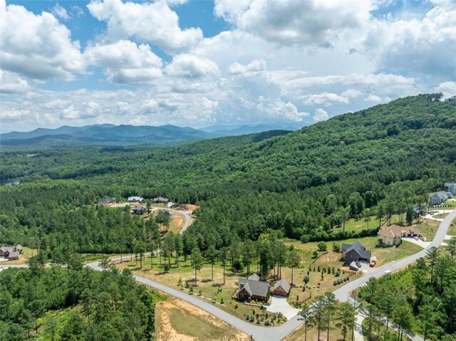 exterior space featuring a mountain view