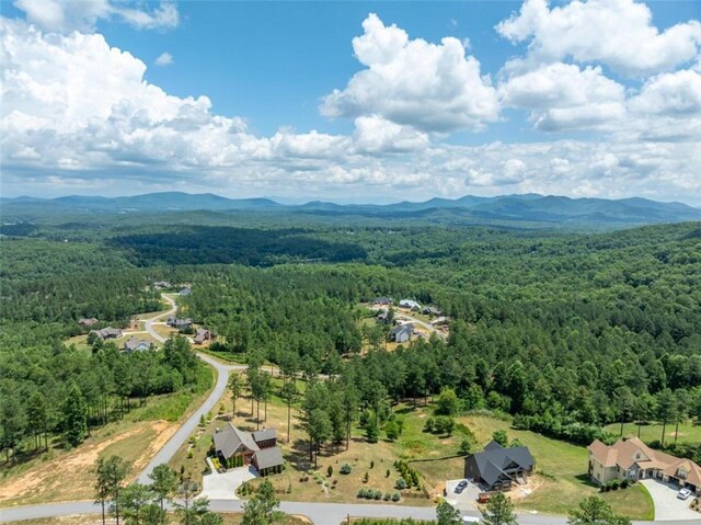 birds eye view of property featuring a mountain view