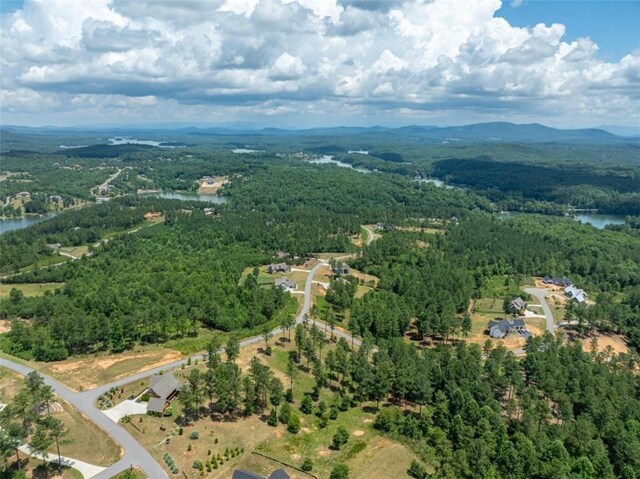 drone / aerial view with a water and mountain view