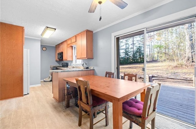 1729 Norden Rd, Riverdale, GA 30296 - dining room with a textured ceiling, baseboards, ornamental molding, a ceiling fan, and light wood-style floors