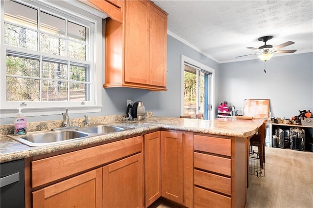 1729 Norden Rd, Riverdale, GA 30296 - kitchen featuring light countertops, a textured ceiling, a sink, dishwashing machine, and a peninsula