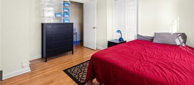 1729 Norden Rd, Riverdale, GA 30296 - bedroom with a closet, baseboards, and wood finished floors