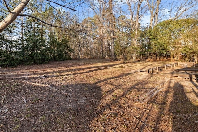 1729 Norden Rd, Riverdale, GA 30296 - view of yard