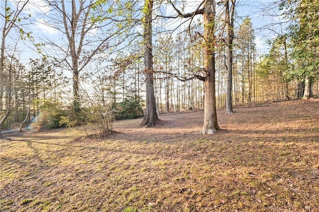 1729 Norden Rd, Riverdale, GA 30296 - view of yard