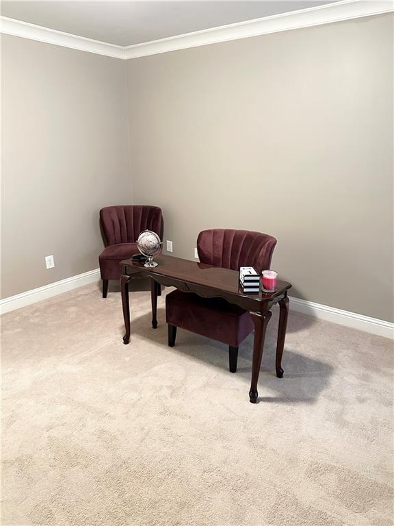 living area featuring light colored carpet and ornamental molding