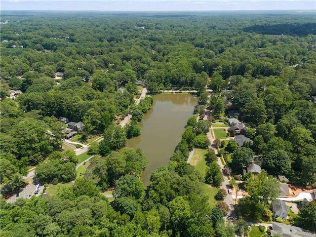 1602 Windsor Walk, Avondale Estates, GA 30002 - aerial view of property's location with a forest and a nearby body of water