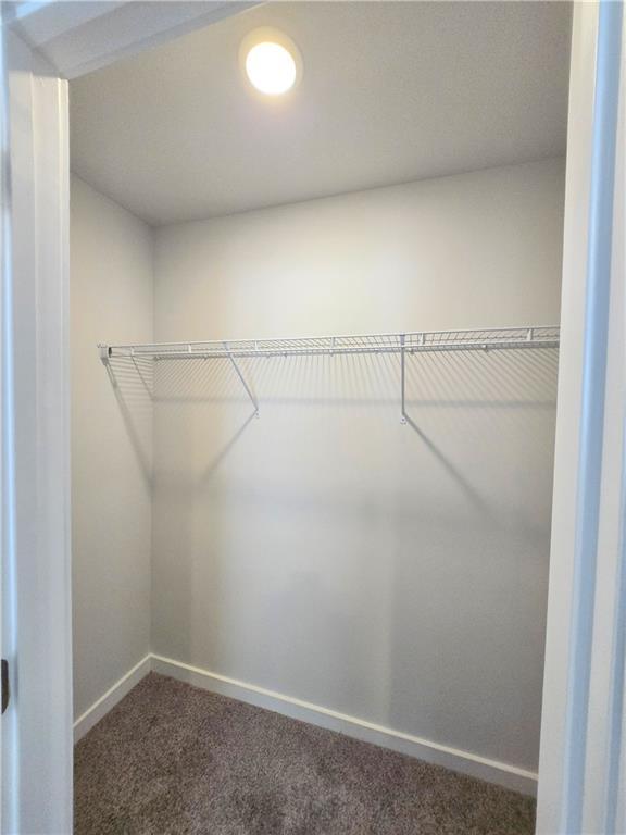 spacious closet featuring dark colored carpet