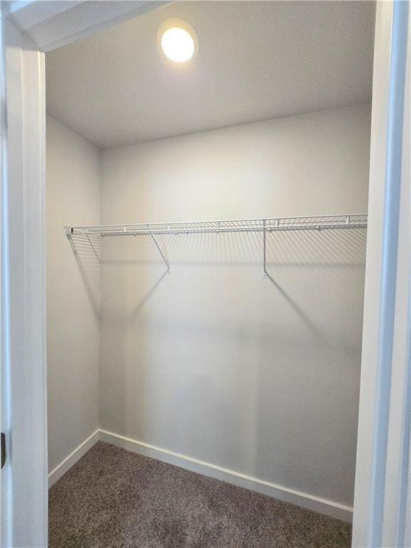 spacious closet with dark colored carpet