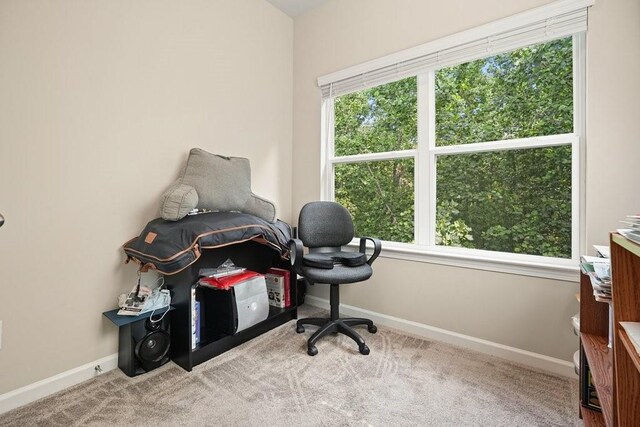 1630 Eaglerock Dr, Suwanee, GA 30024 - office with carpet and baseboards