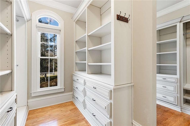 spacious closet with light wood-type flooring