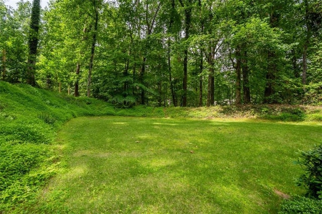 2709 Windrush Dr, Buford, GA 30518 - view of yard featuring a wooded view