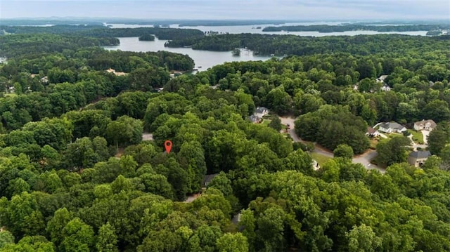 2709 Windrush Dr, Buford, GA 30518 - view of property location featuring a forest and a large body of water