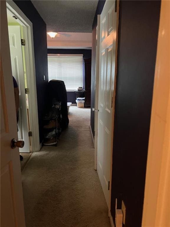 hall featuring carpet and a textured ceiling